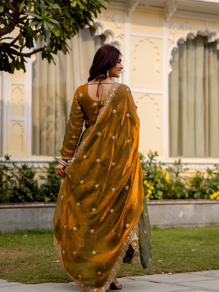 Dual Tone Embroidered Fendy Satin Gown