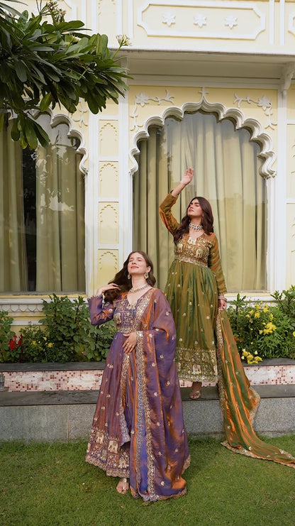 Dual Tone Embroidered Fendy Satin Gown